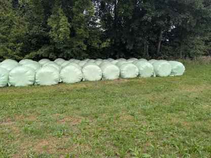 Bild 3:Siloballen - Ernte 2025