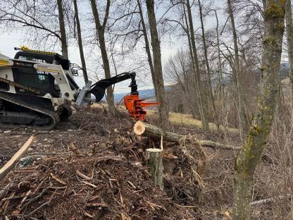 Bild 7:Forstmulcher und Renaturierung vom Profi