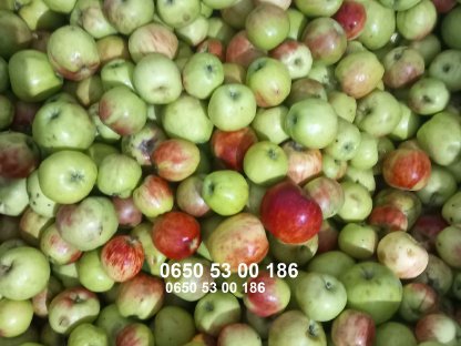 Bio Gravensteiner Äpfel Klasse II