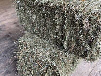 Bild 7:Heuballen klein