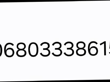 Bild 4:Milchtank 250 Liter