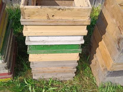 Bild 4:Verkaufe Bienenstöcke Bienenstock