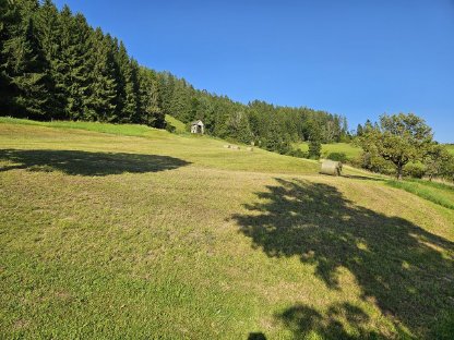 Bild 2:Heu 2. Schnitt Bio