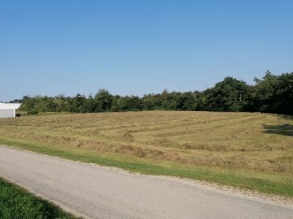 Grundstück am Stadtrand von Amstetten
