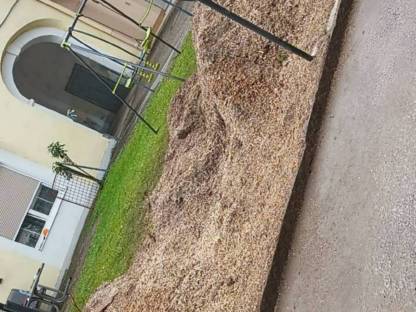 Bild 2:Wurzelstockfräsen