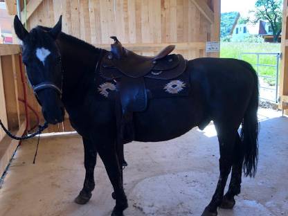 Bild 2:Westernsattel Continental