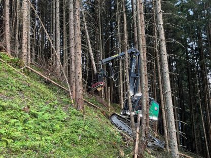 Bild 3:Harvester Neuson HVT 204 (Waratah 424)