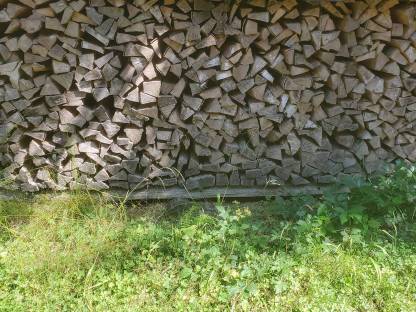 Buchenholz