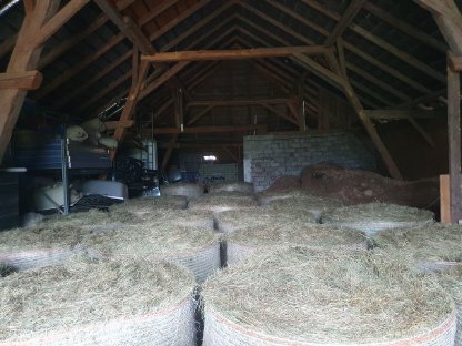 Bild 9:Bio-Pferdeheu