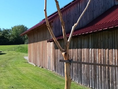 Bild 2:Unikat der Natur