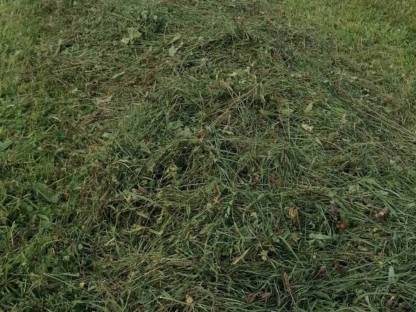 Bild 6:Heu, Stroh, Silage