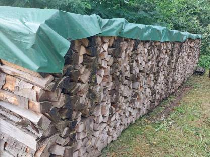 Brennholz Buche