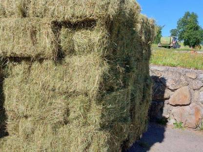 Bild 2:Verkaufe Kleinheuballen und Rundballen mit Warmluft belüftet
