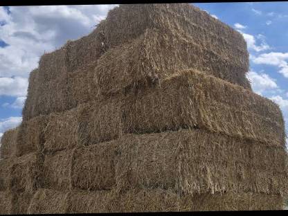 Bild 4:Stroh/Strohballen