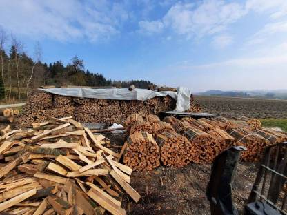 Bild 3:Brennholz Buche