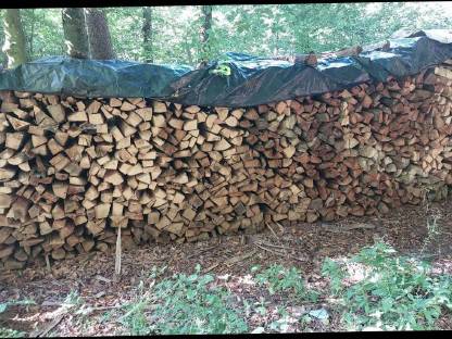 Bild 3:Buchenholz, Brennholz, Hartholz