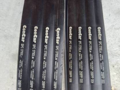 Bild 2:Eschlböck Biber 70 Hauptantriebsriemenband