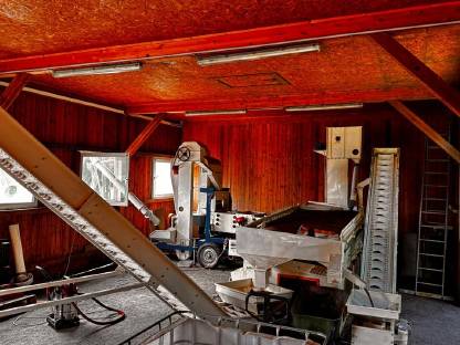 Bild 3:Bio-Ölrettich