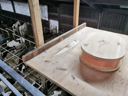 Bild 2:Frequenzen - gesunde Tiere, gesunder Stall