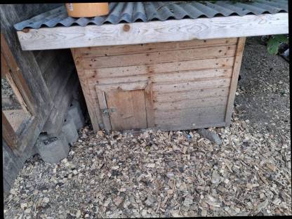 Bild 5:Hühnerstall/Entenstall isoliert