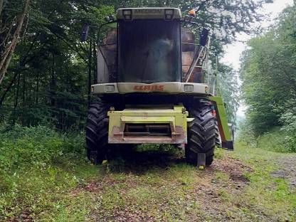 Bild 4:Claas Medion 310