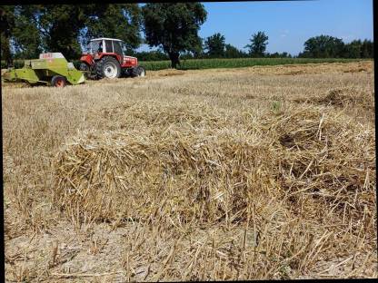 Bild 2:Strohballen klein