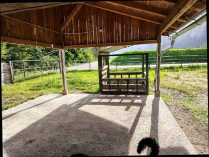 Bild 4:Einstellplatz im Offenstall Haiming