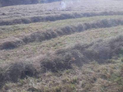 Bild 2:Heuballen