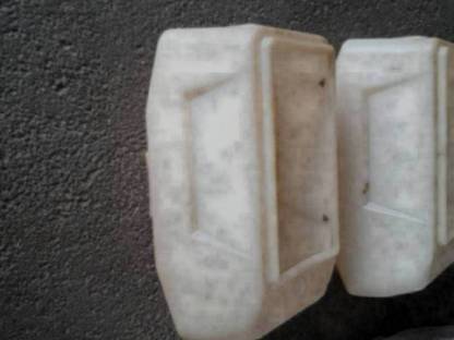 Bild 3:Monosem NG Plus Saatgutbehälter