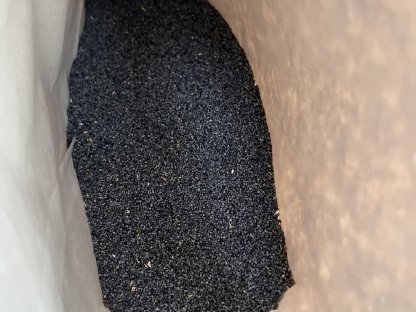 Bild 2:Ungarischer Blaumohn zu verkaufen