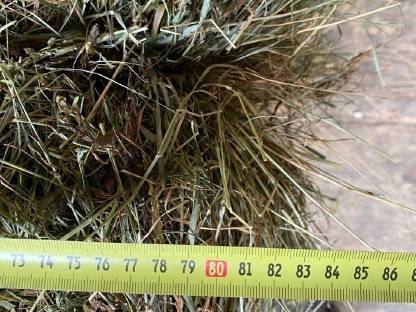 Bild 6:Heuballen klein