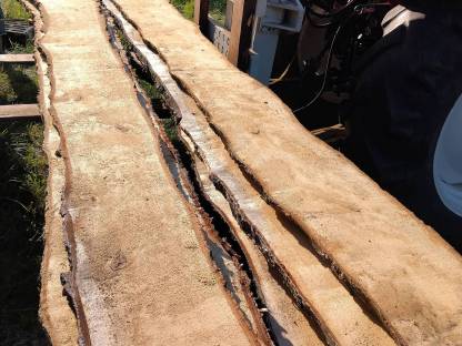 Bild 3:Birken-Schnittware zu verkaufen