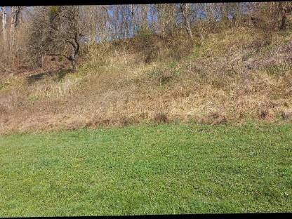 Bild 7:Fischer Mulcher Frontmulcher RS 150