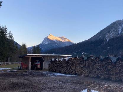 Bild 4:Trockenes Buchenbrennholz aus dem Karwendel