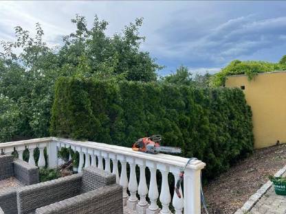 Bild 2:Übernehme Heckenschnitt, Rasenmähen