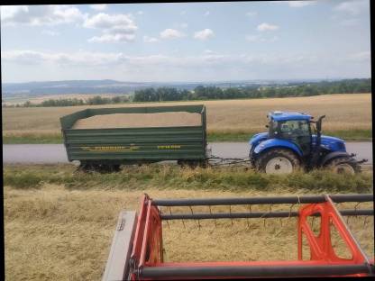 Bild 2:Grünschnittroggen bzw. Winterwicke konv.