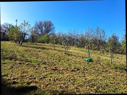 Bild 8:Mulcharbeiten, Mäharbeit, Böschungsmähen