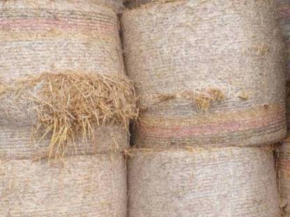 Bild 3:Stroh Gerste und Weizen