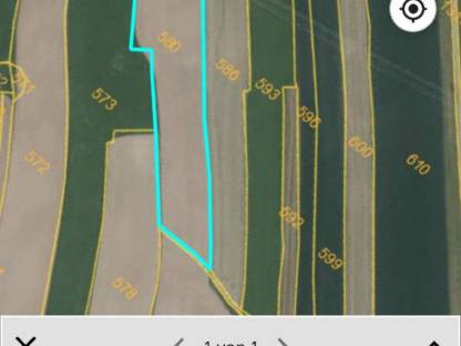 Bild 2:Landwirtschaftlicher Nutzgrund