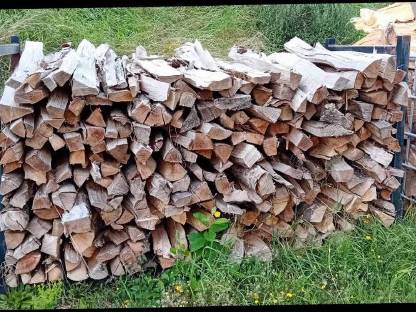 Brennholz Buche