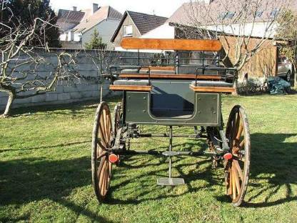 Bild 3:Marathonwagen und Dressurkutsche