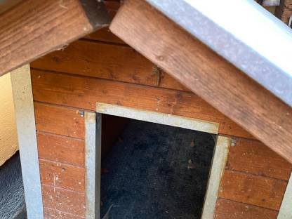 Hundehütte