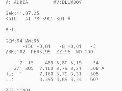 Bild 5:Blüem Stierkalb