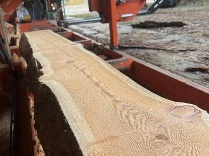 Bild 4:Lärchenstempel