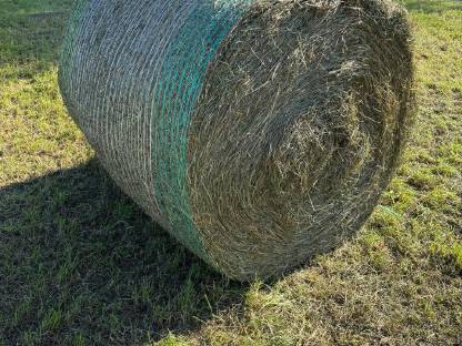 Heurundballen 2.Schnitt 2025