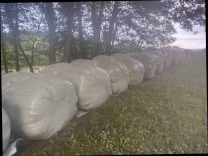Verkaufe 22 Stk. Silage-Rundballen