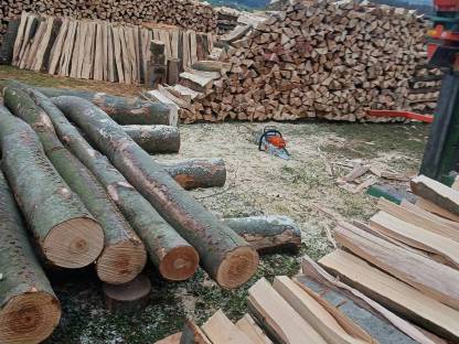 Buchenbrennholz