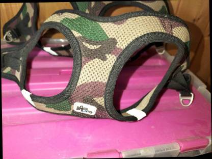 Bild 2:Hundegeschirr