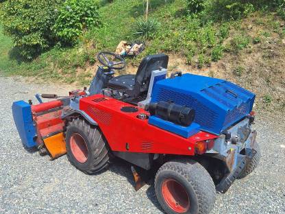 Bild 2:Rasant Buggy Allrad