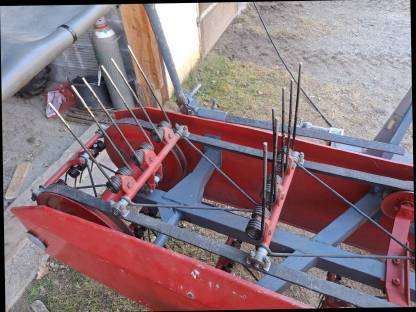 Bild 3:Bandrechen Vogel und Noot